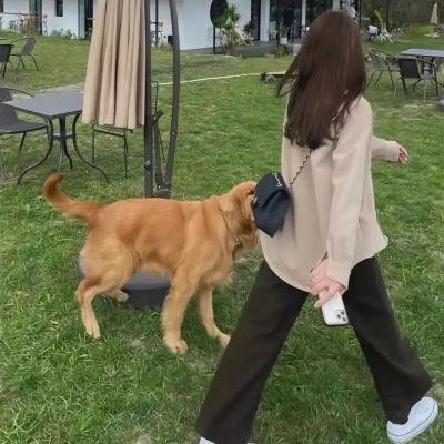 田中君总是如此慵懒 特典