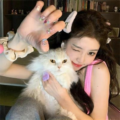 好莱坞医生